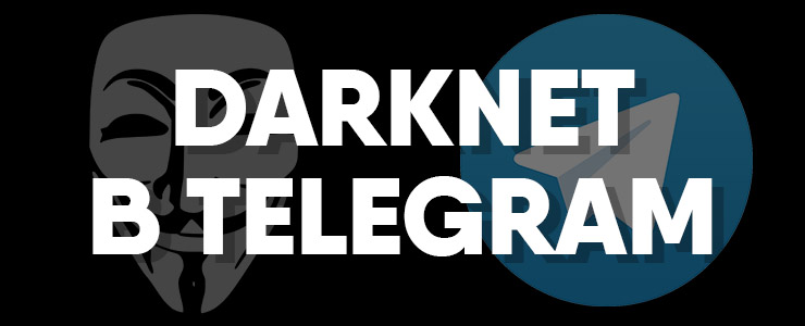 телеграм чат darknet даркнет
