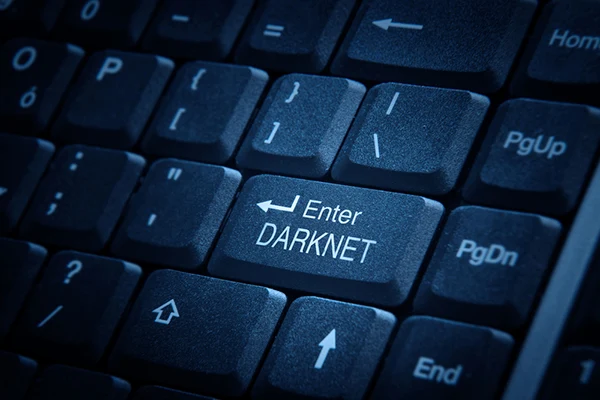 войти darknet